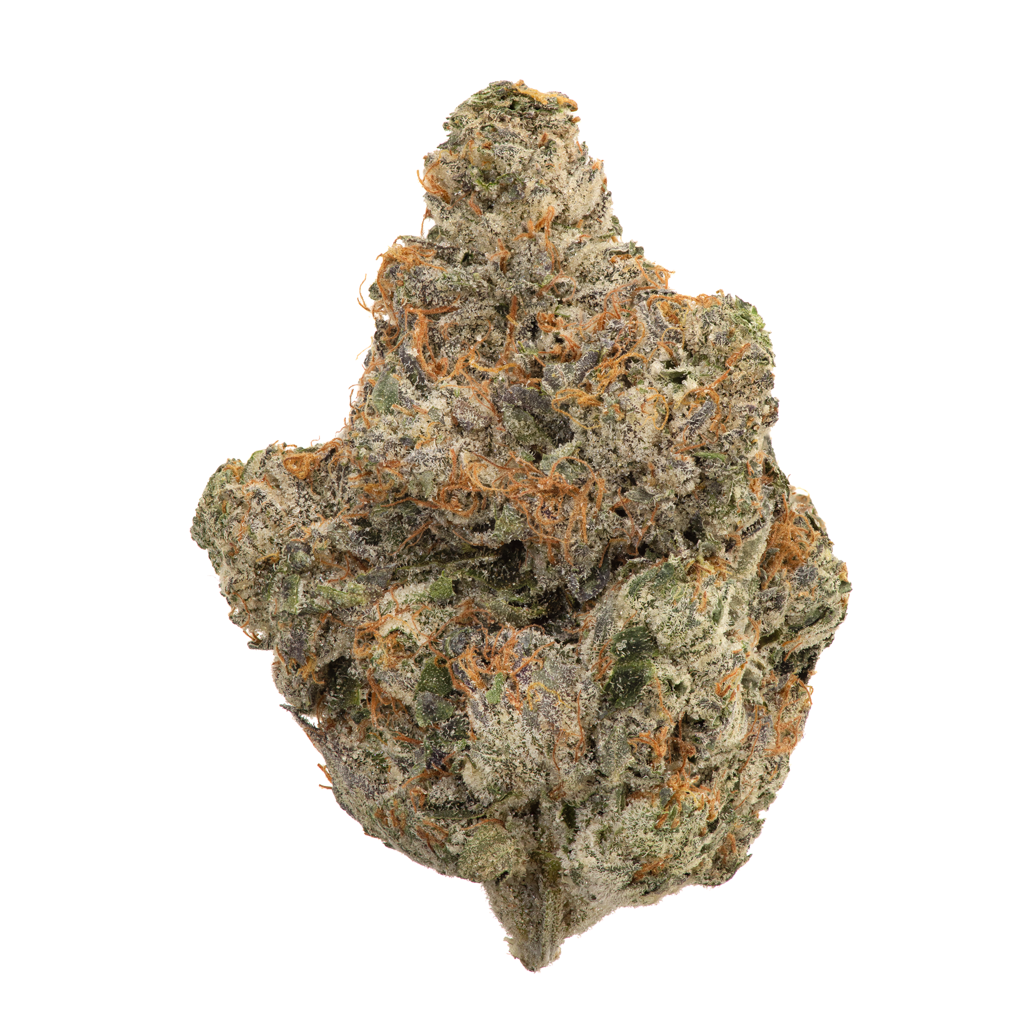 Organic BC Rockstar